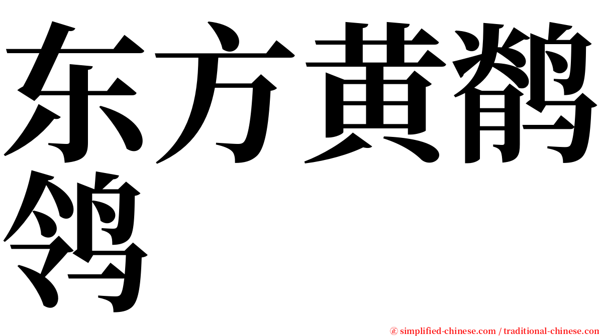 东方黄鹡鸰 serif font