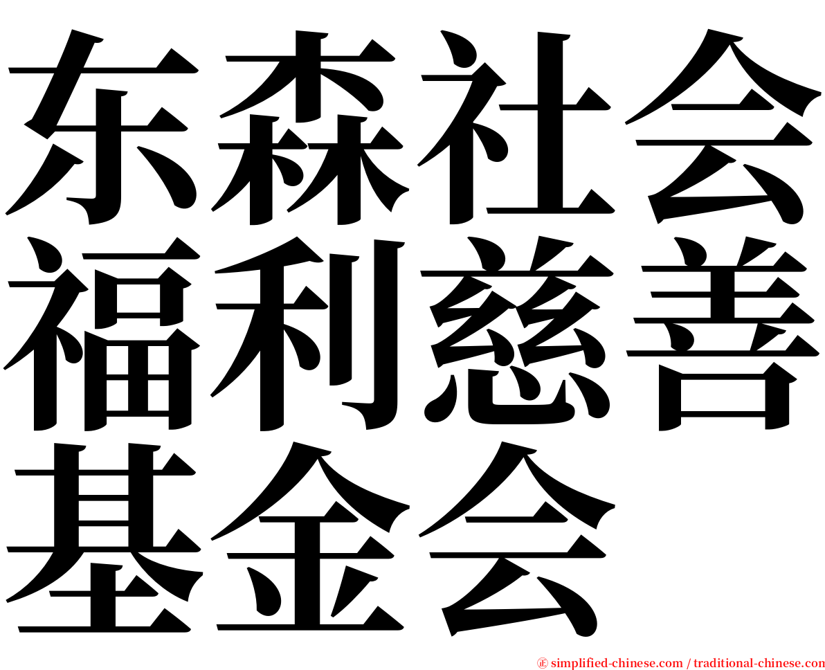 东森社会福利慈善基金会 serif font