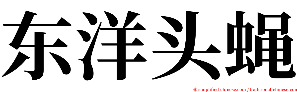 东洋头蝇 serif font