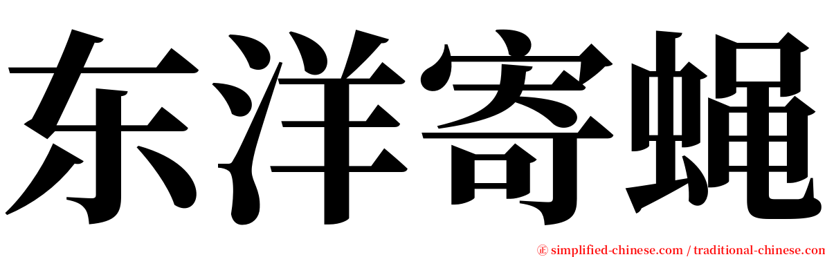 东洋寄蝇 serif font