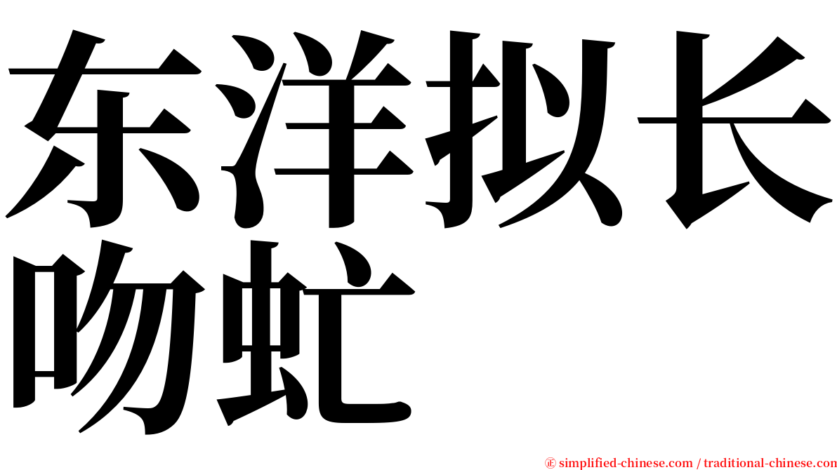 东洋拟长吻虻 serif font