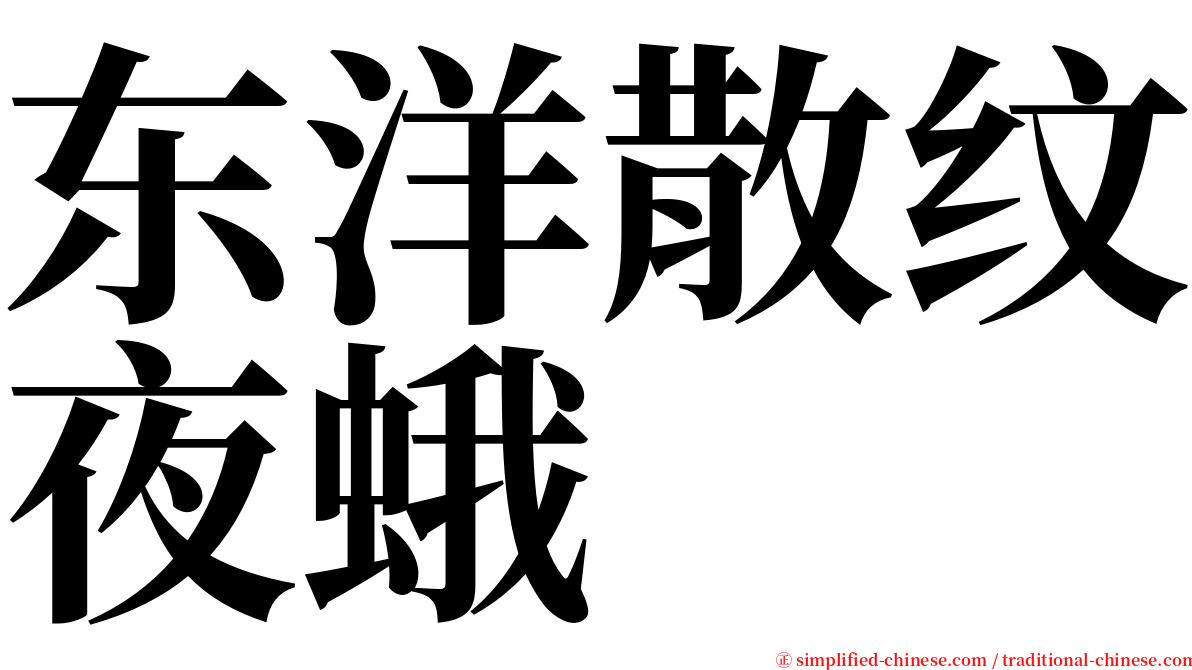 东洋散纹夜蛾 serif font