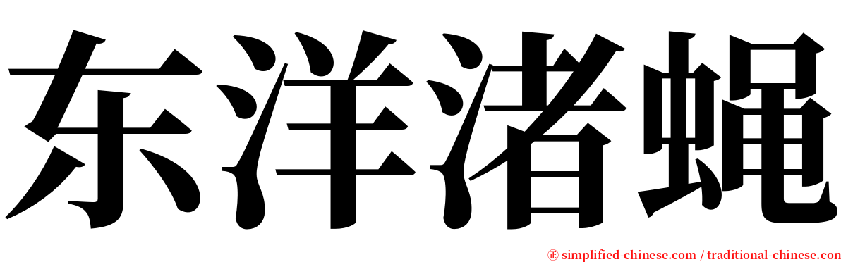 东洋渚蝇 serif font