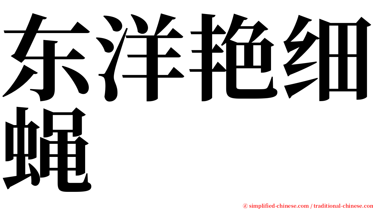 东洋艳细蝇 serif font