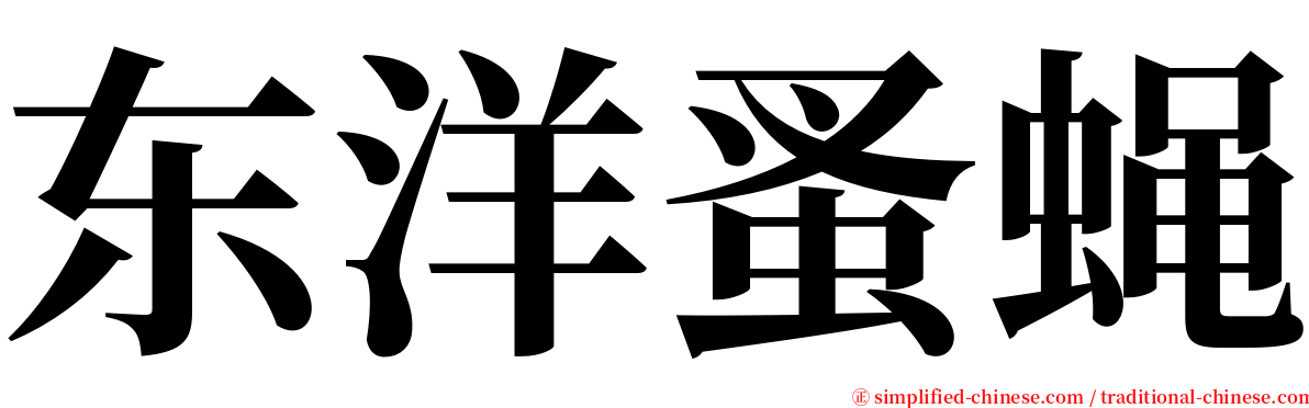 东洋蚤蝇 serif font