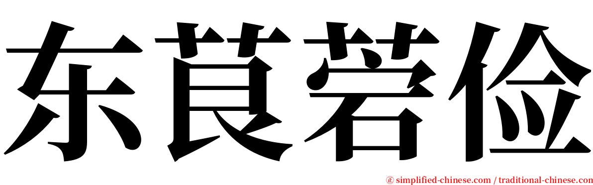 东茛菪俭 serif font