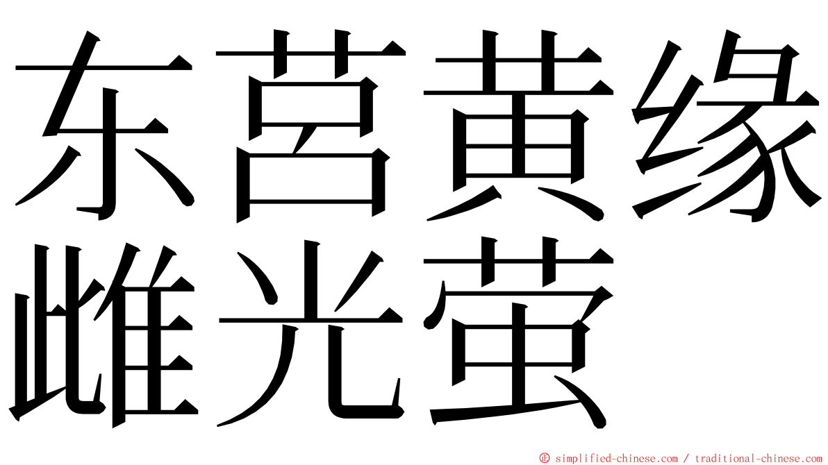 东莒黄缘雌光萤 ming font