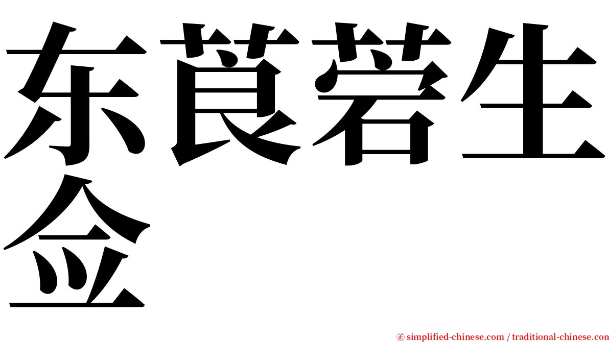 东莨菪生佥 serif font