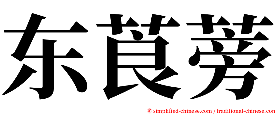 东莨蒡 serif font