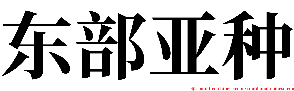 东部亚种 serif font