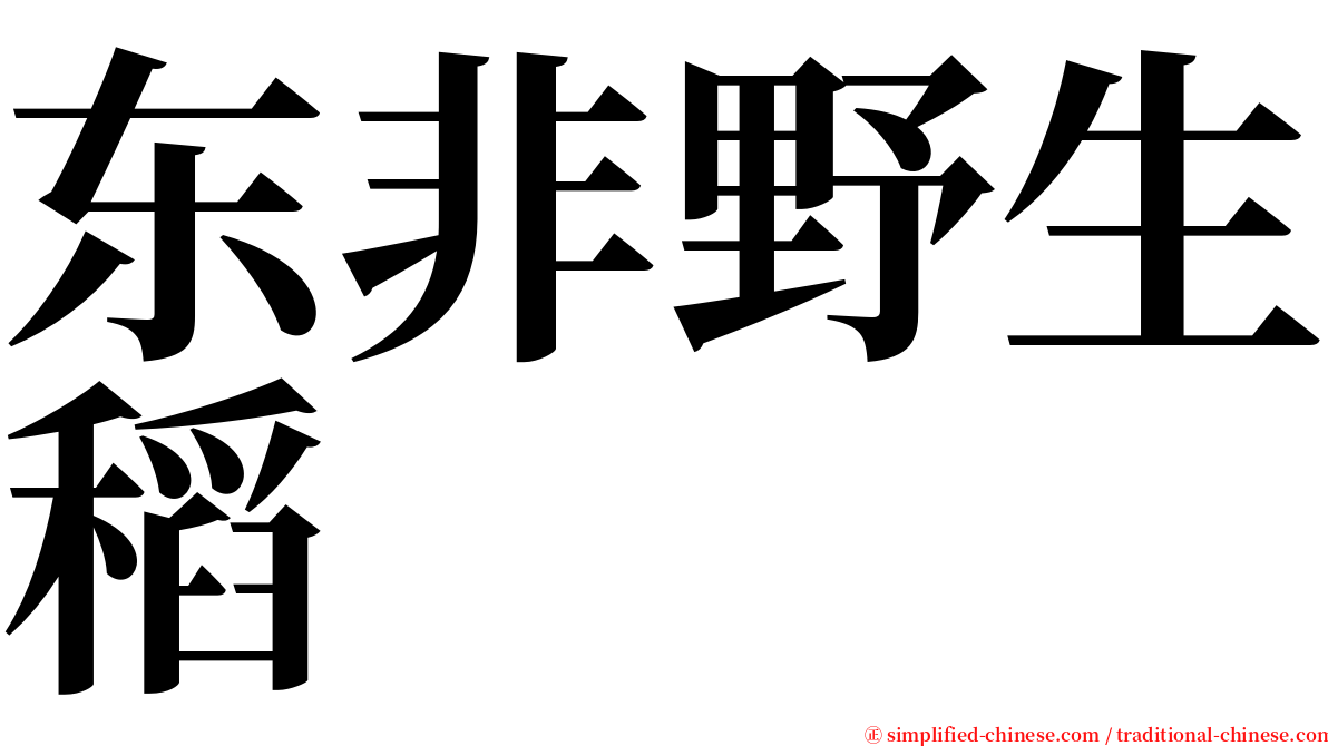 东非野生稻 serif font