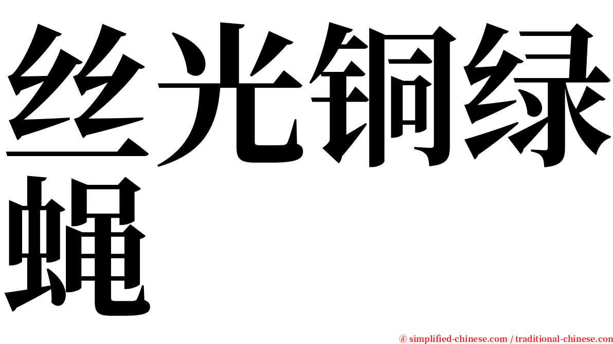 丝光铜绿蝇 serif font