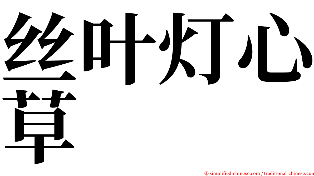 丝叶灯心草 serif font