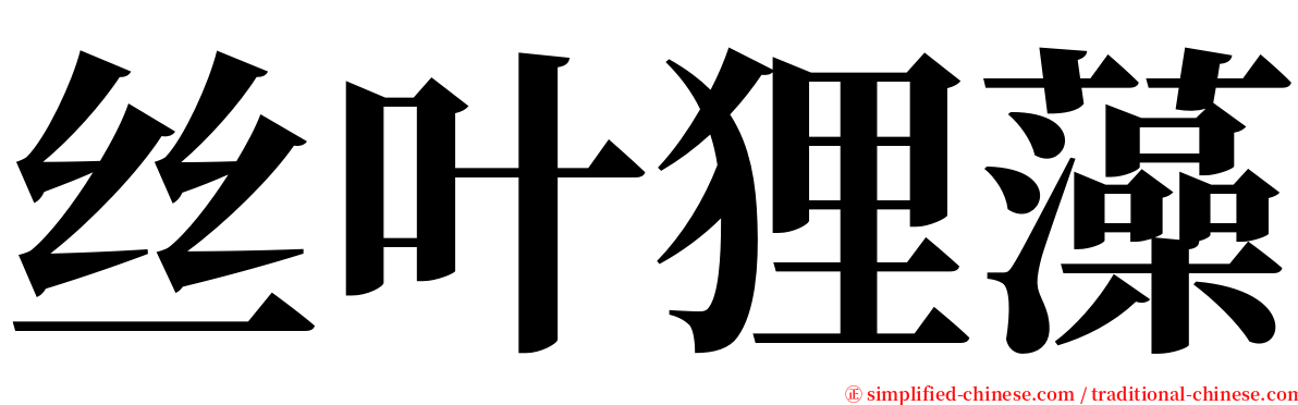 丝叶狸藻 serif font