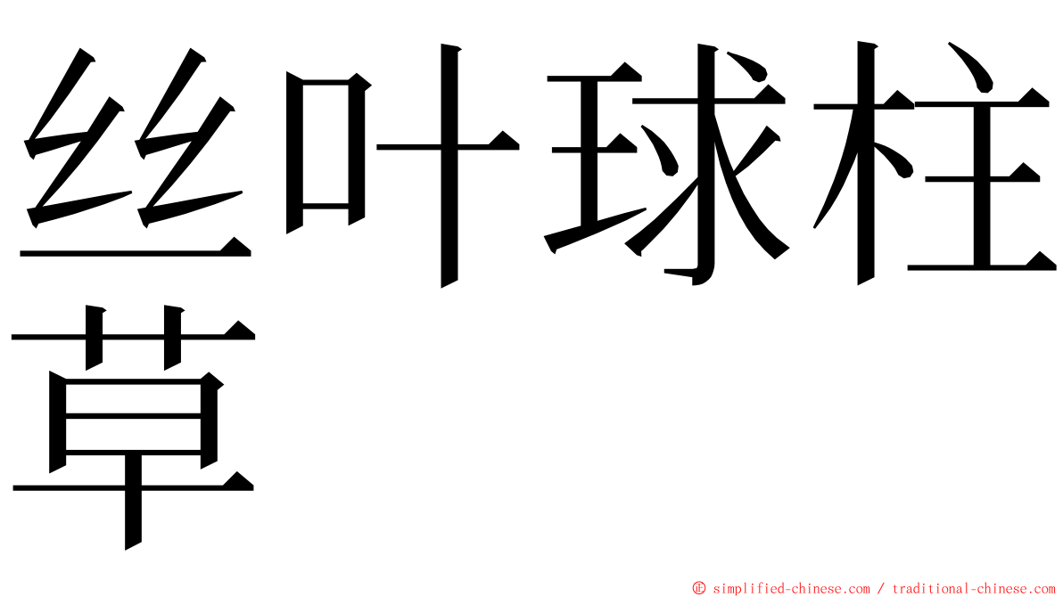 丝叶球柱草 ming font