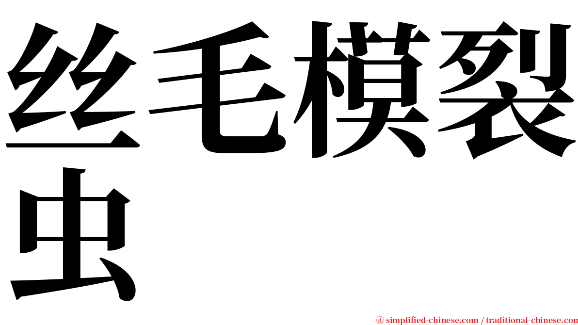 丝毛模裂虫 serif font