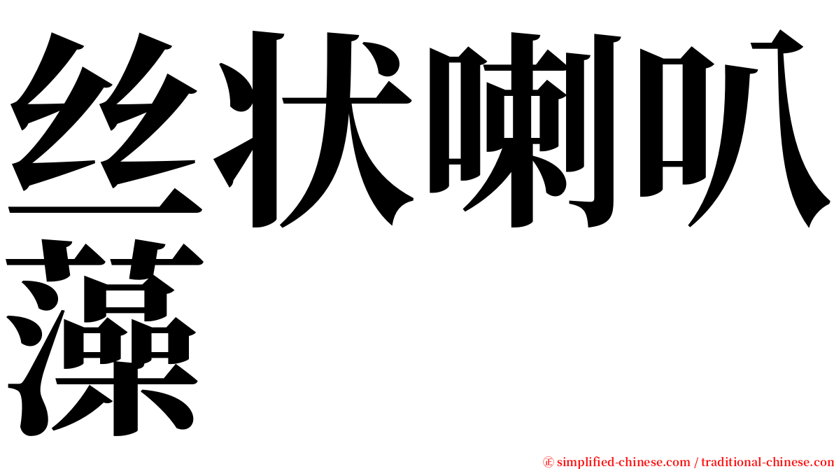 丝状喇叭藻 serif font