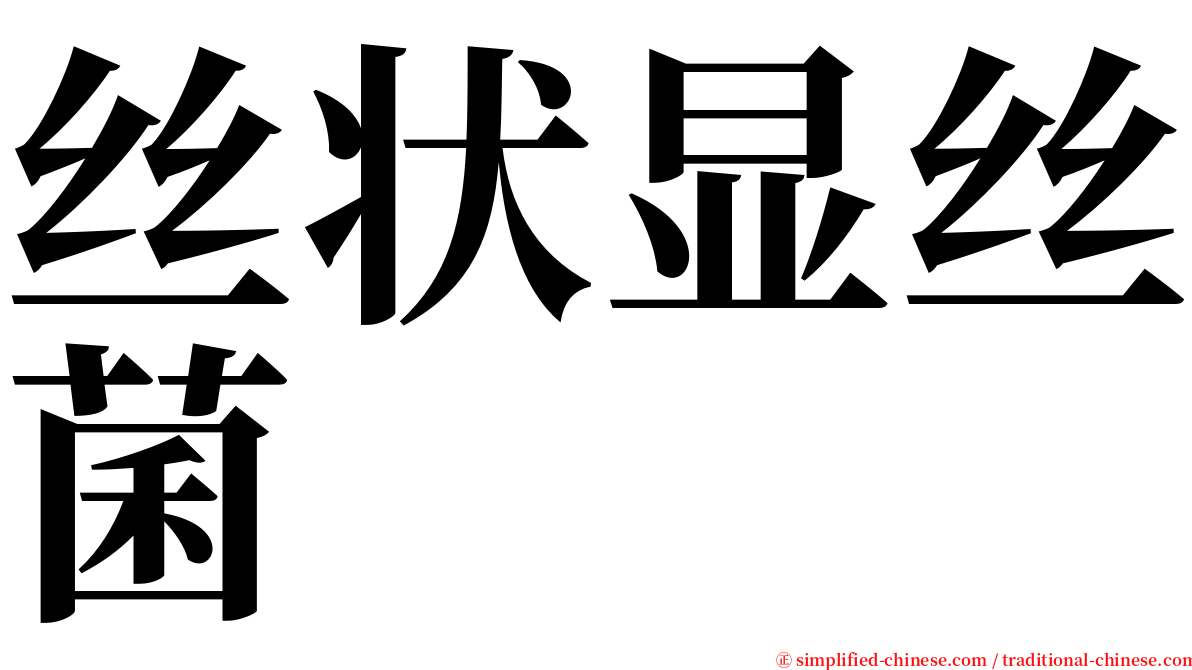 丝状显丝菌 serif font