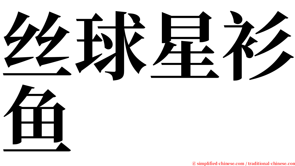 丝球星衫鱼 serif font