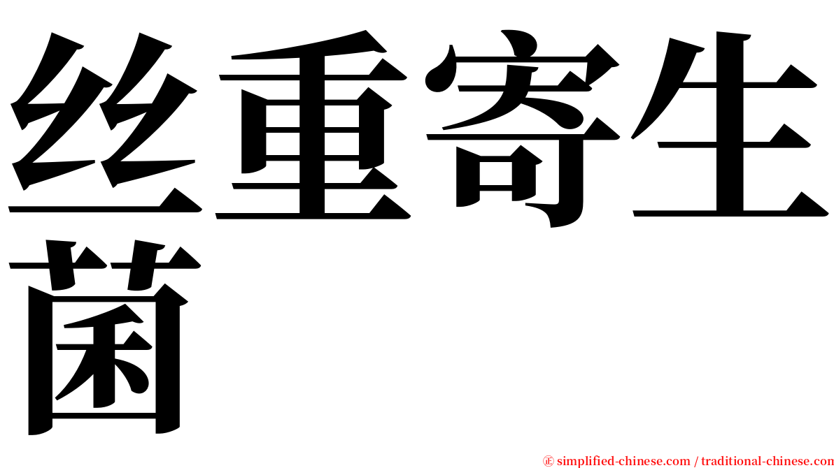 丝重寄生菌 serif font