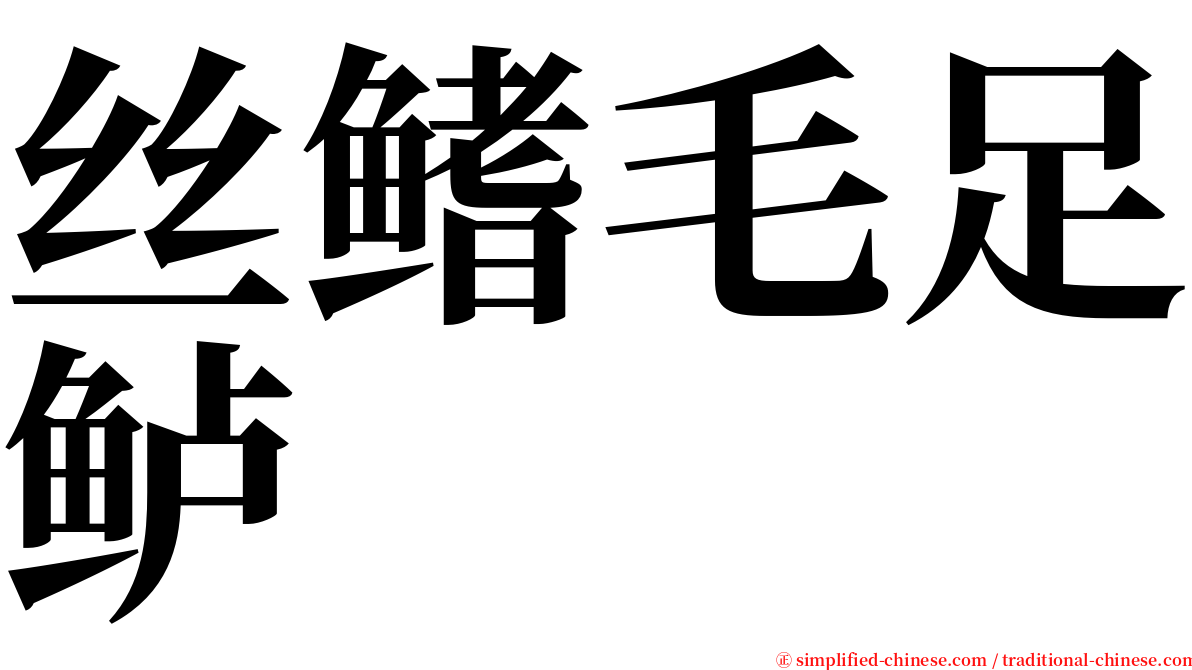 丝鳍毛足鲈 serif font