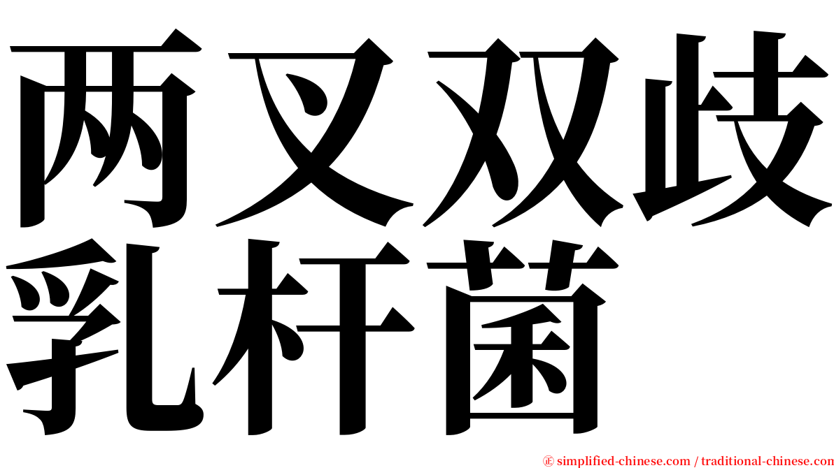 两叉双歧乳杆菌 serif font