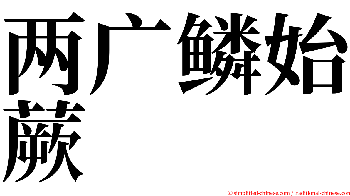 两广鳞始蕨 serif font