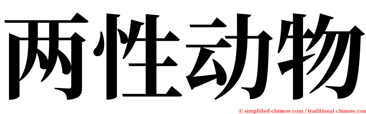 两性动物 serif font