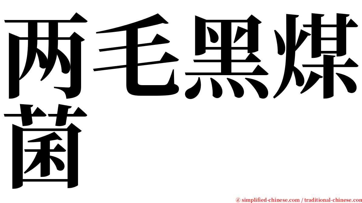 两毛黑煤菌 serif font