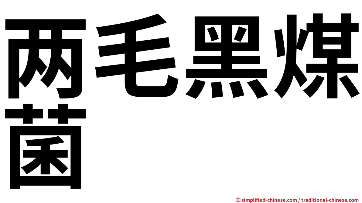 两毛黑煤菌