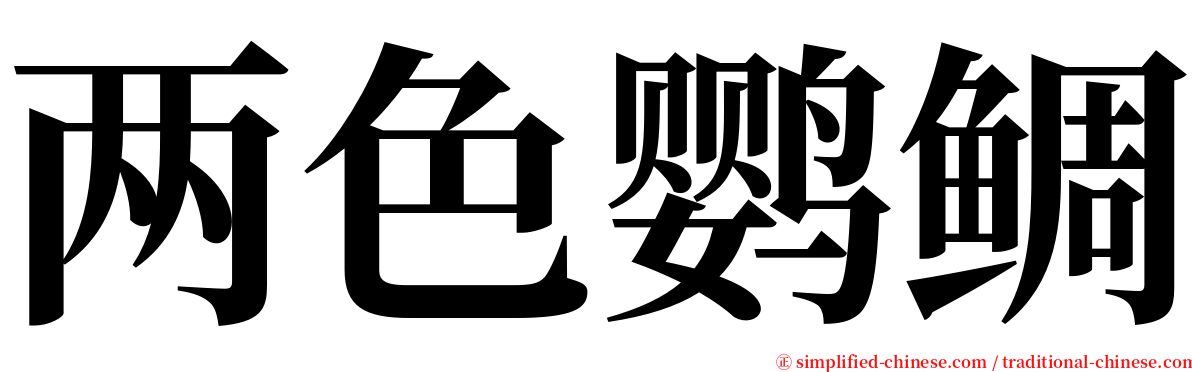 两色鹦鲷 serif font