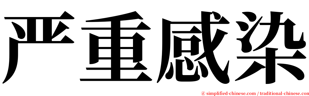 严重感染 serif font