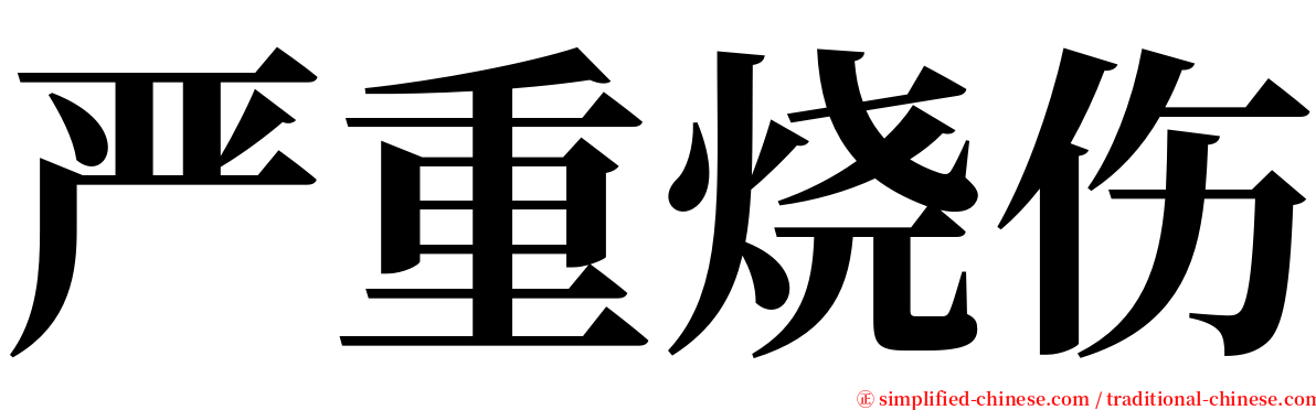 严重烧伤 serif font