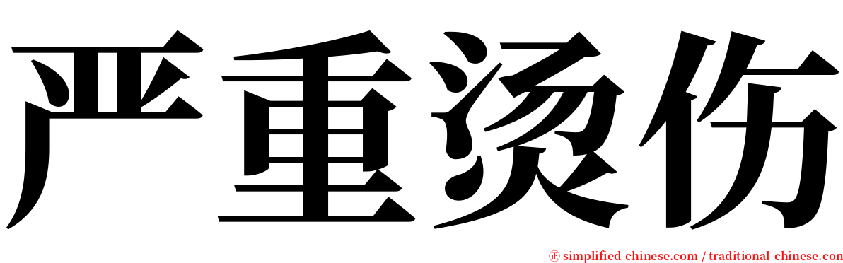 严重烫伤 serif font