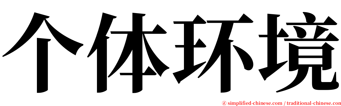 个体环境 serif font