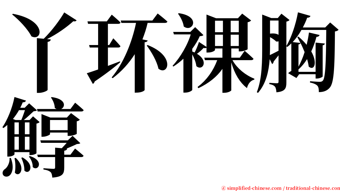 丫环裸胸鯙 serif font