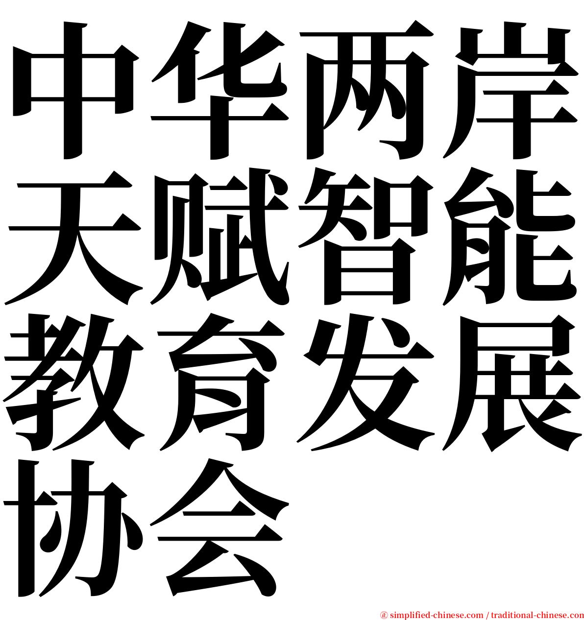 中华两岸天赋智能教育发展协会 serif font