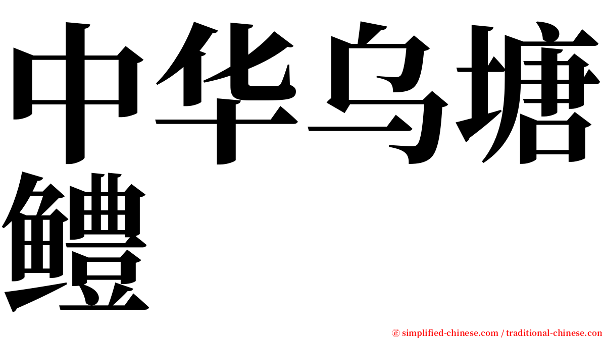 中华乌塘鳢 serif font