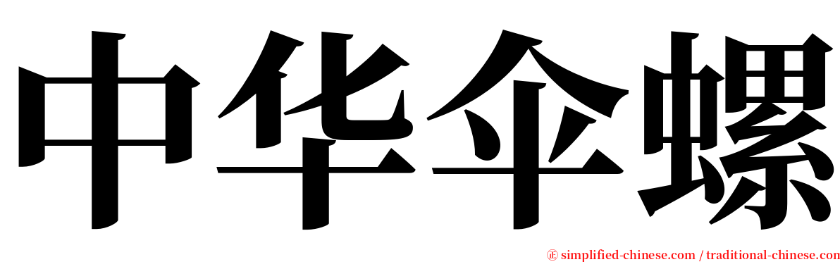 中华伞螺 serif font