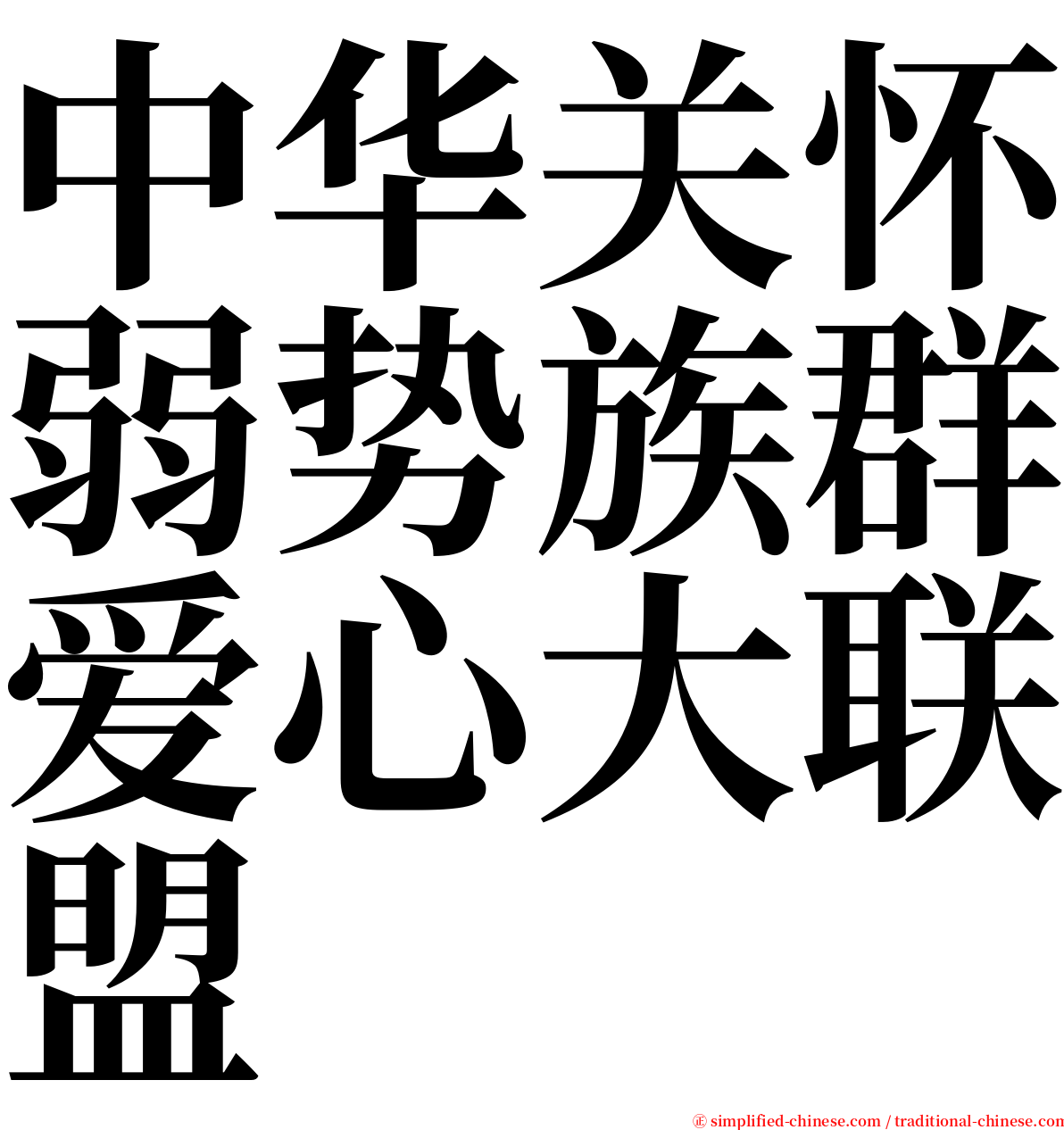 中华关怀弱势族群爱心大联盟 serif font