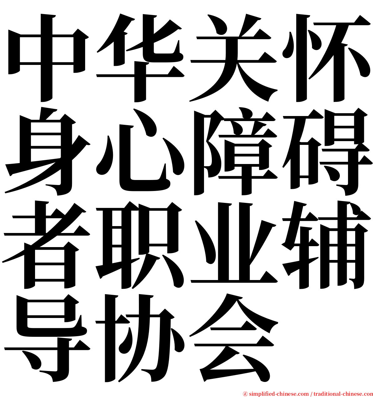 中华关怀身心障碍者职业辅导协会 serif font