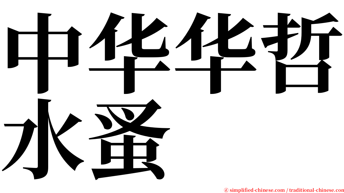 中华华哲水蚤 serif font