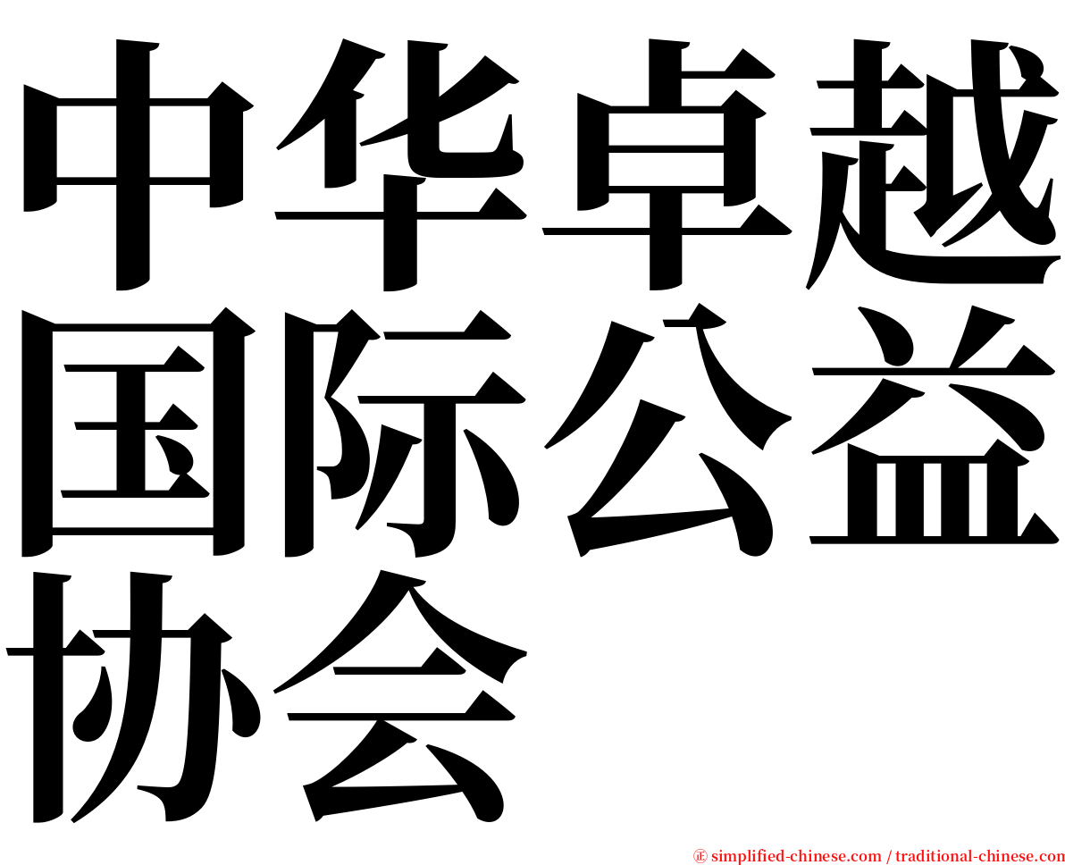 中华卓越国际公益协会 serif font