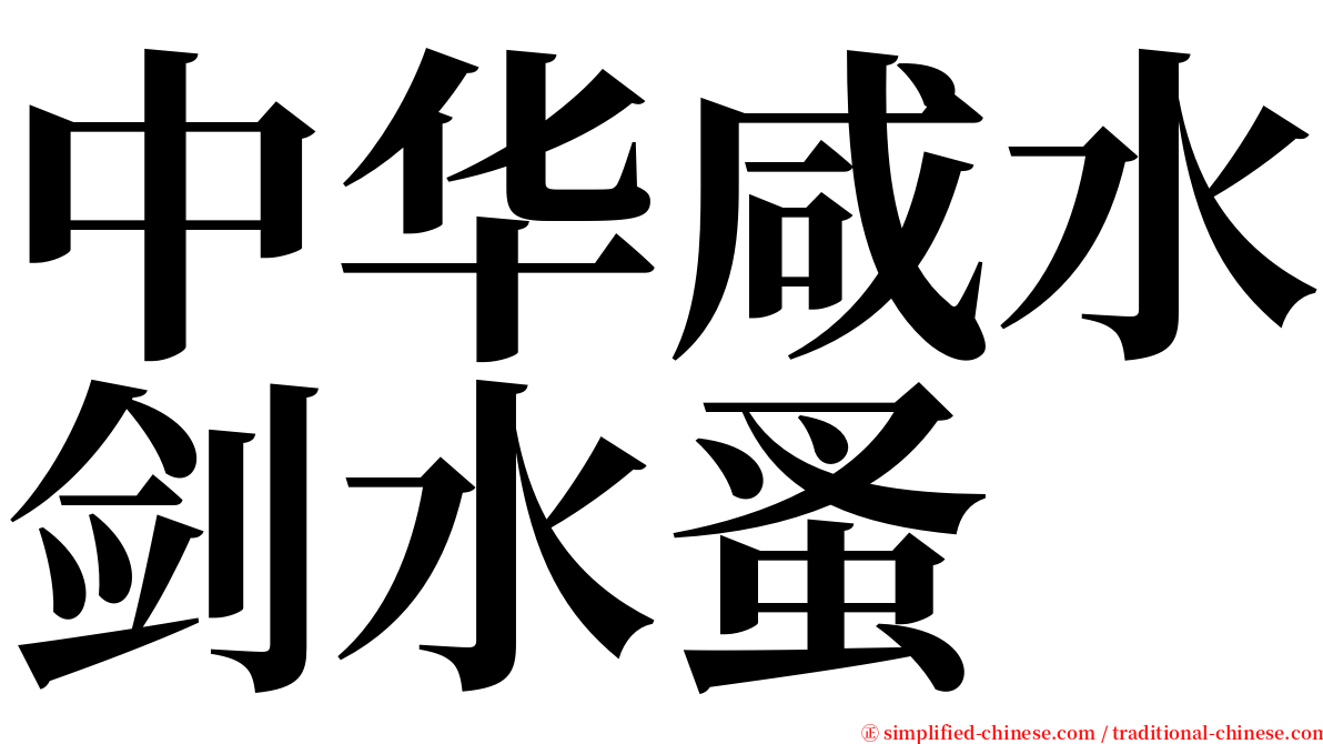 中华咸水剑水蚤 serif font