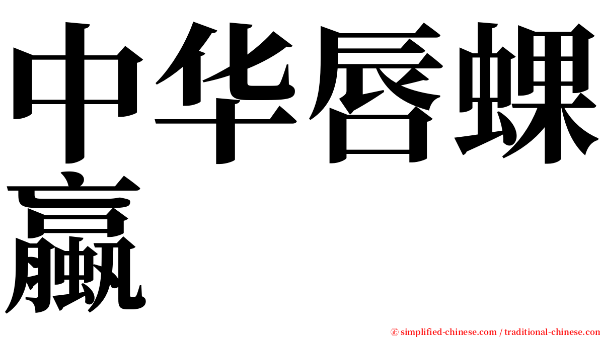 中华唇蜾蠃 serif font