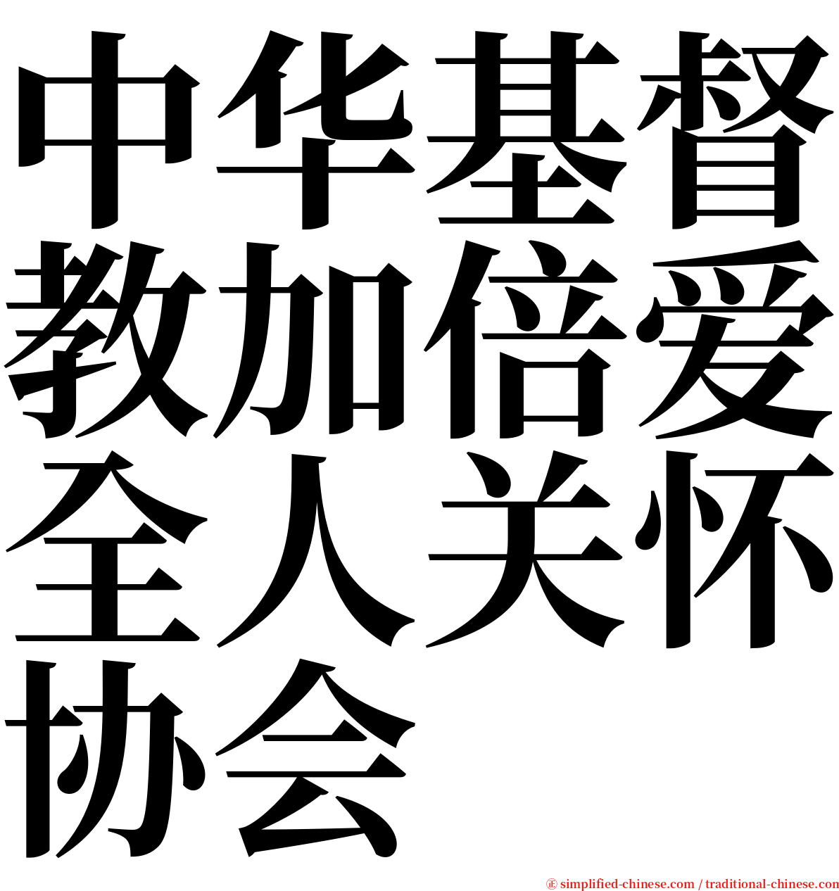 中华基督教加倍爱全人关怀协会 serif font