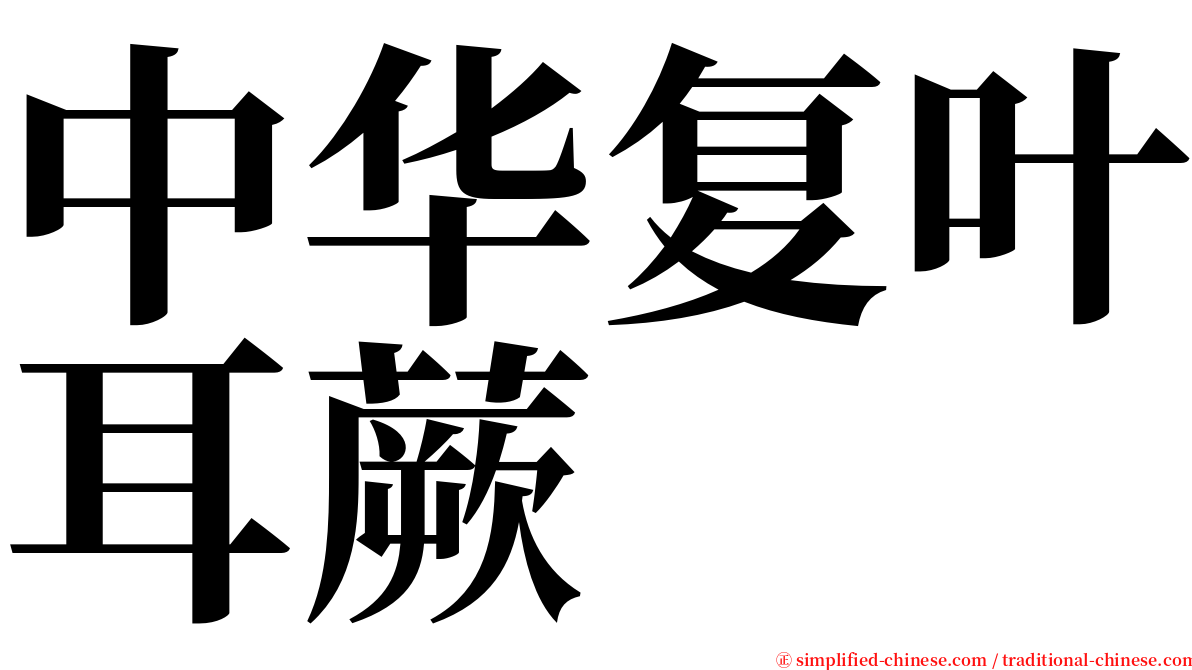 中华复叶耳蕨 serif font