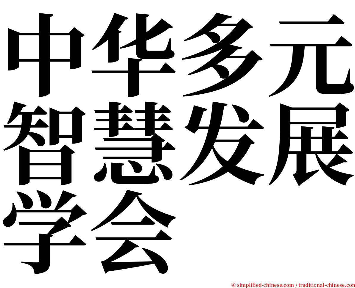 中华多元智慧发展学会 serif font