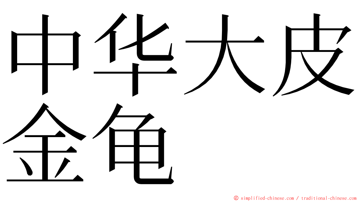 中华大皮金龟 ming font