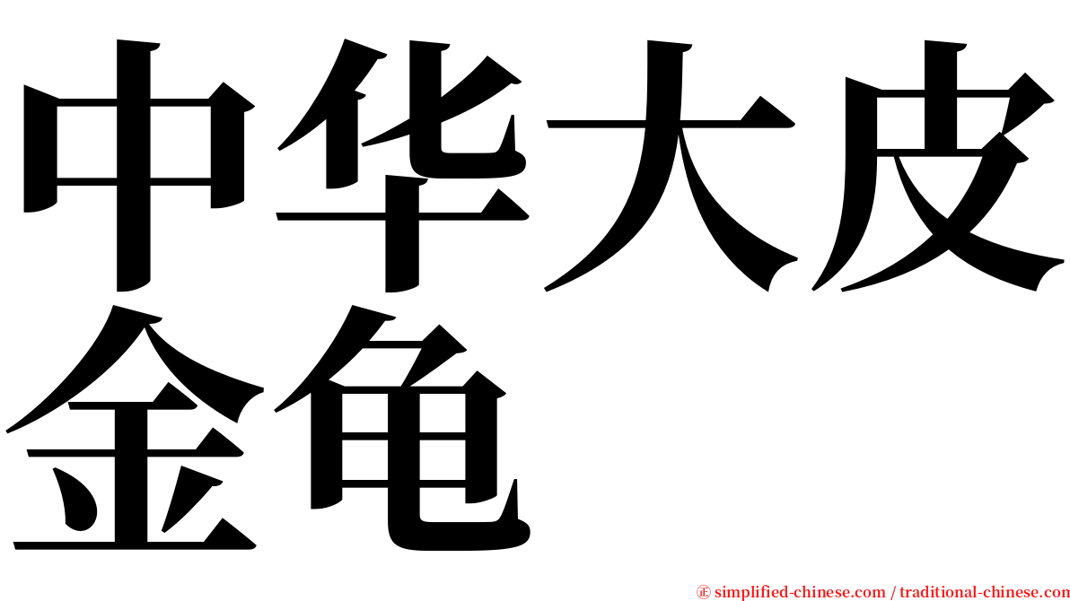 中华大皮金龟 serif font